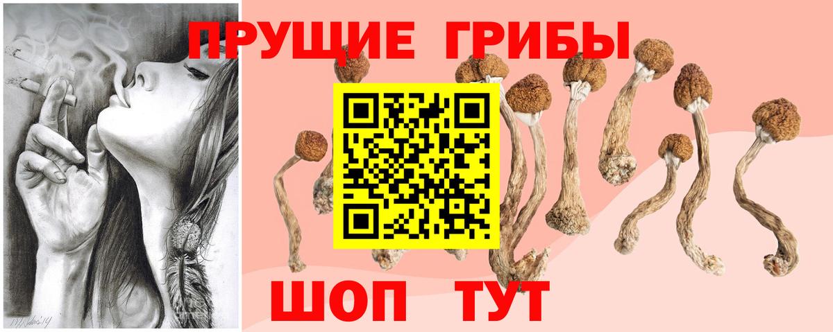 Галлюциногенные грибы ЛСД  Псилоцибиновые грибы прущие грибы  где можно купить наркотик  Арсеньев  Вход с VPN 